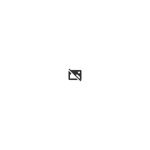 logo_icea